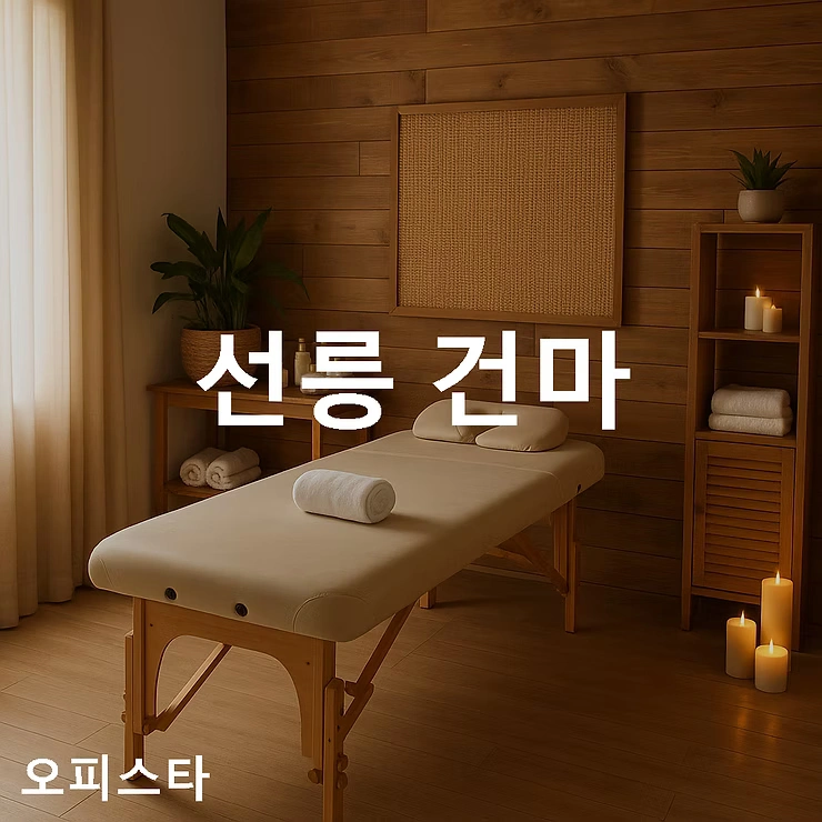 [강남 대치동] 선릉 건마
