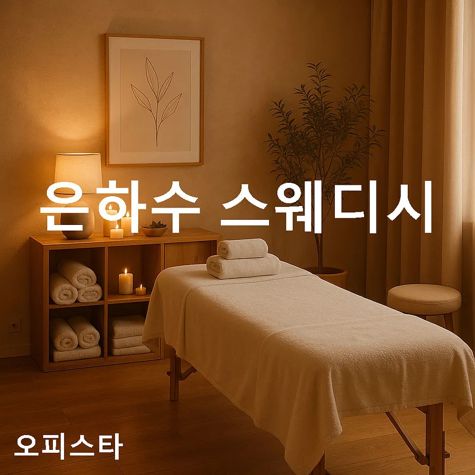 [고양시 덕양구] 은하수 스웨디시