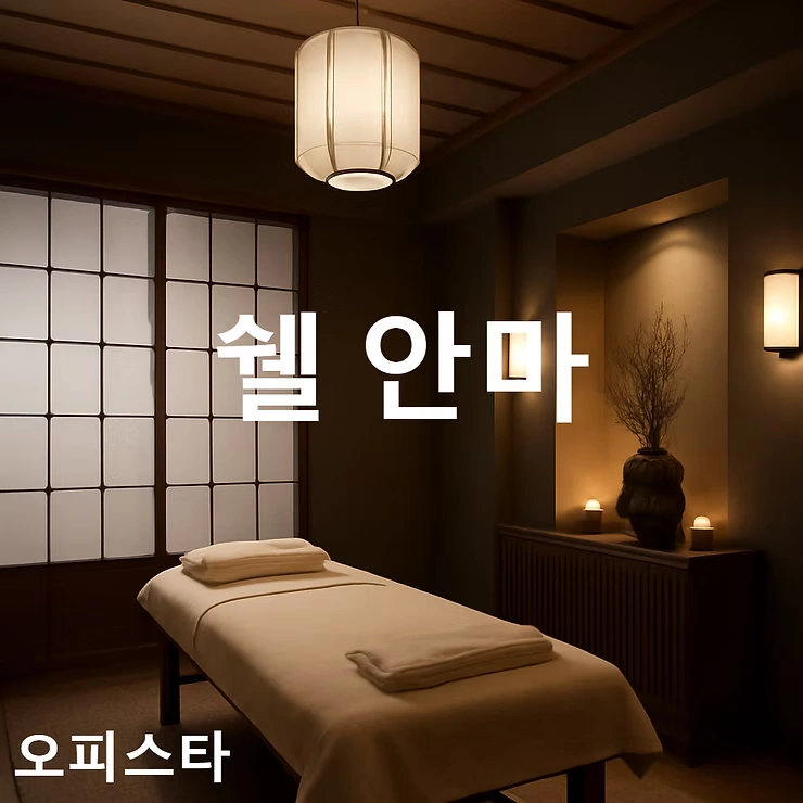 [광주 치평동] 쉘 안마