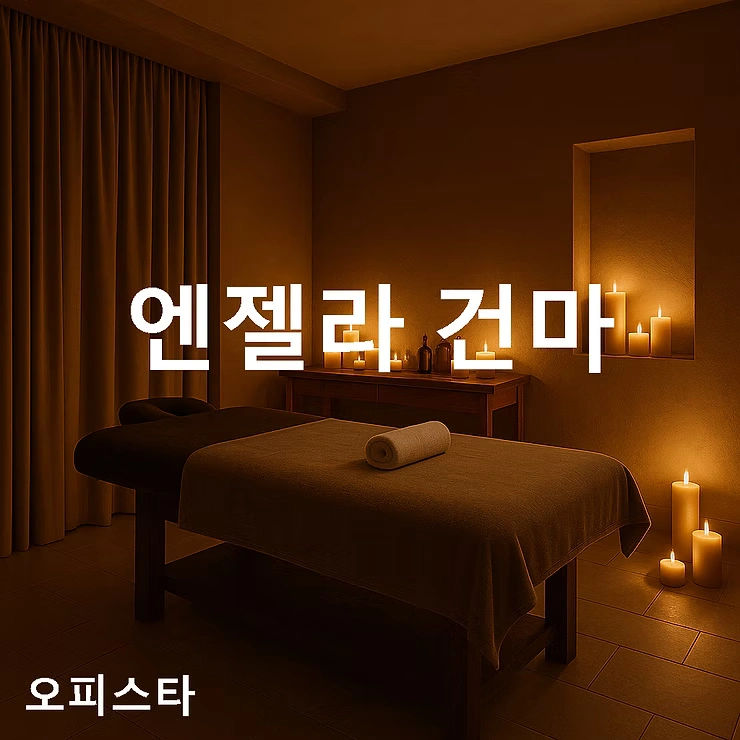 [서울 동대문구 광희동] 엔젤라 건마