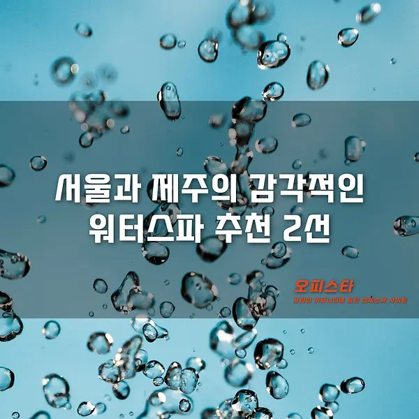 서울과 제주의 워터스파 추천 - 오피스타