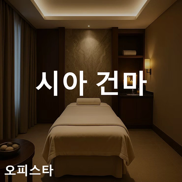 [서초구 강남역] 시아 건마