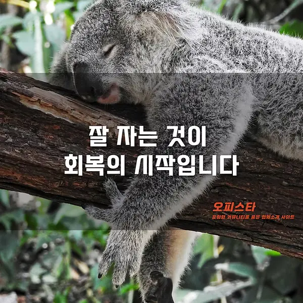 수면 유도 테라피 추천 - 오피스타