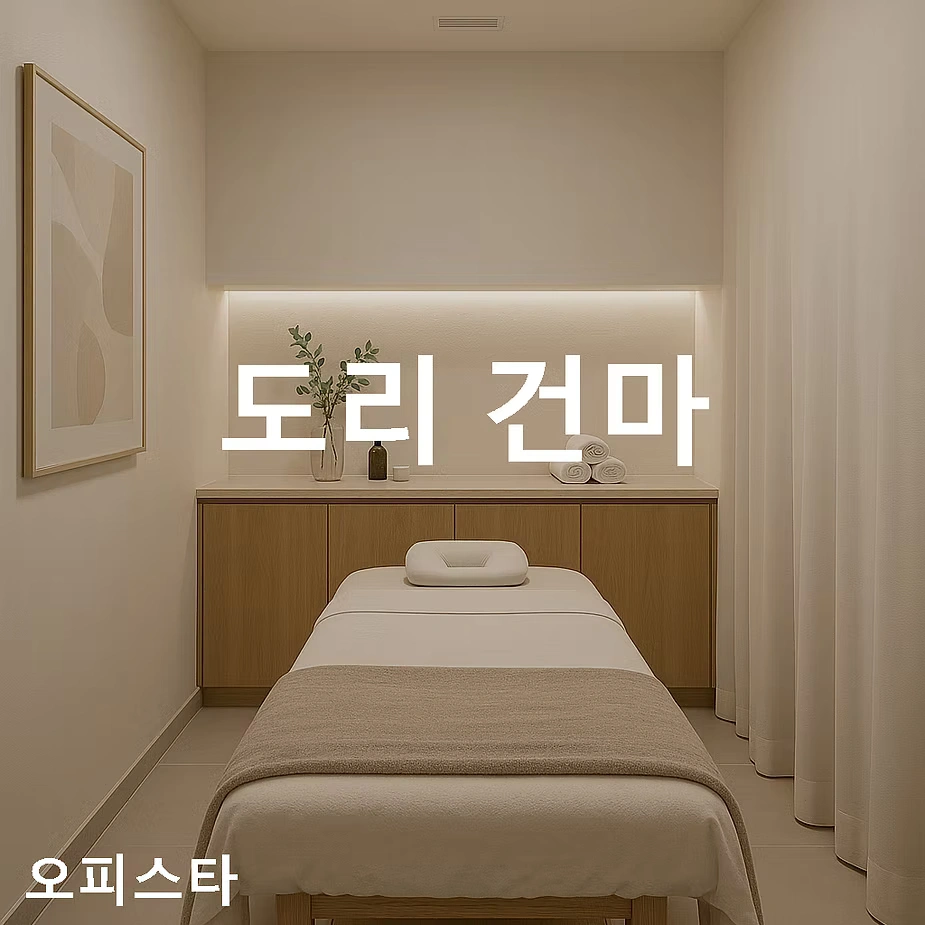 [수원시 팔달구] 도리 건마