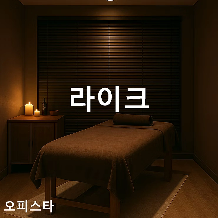 [수원시 팔달구 인계동] 라이크