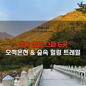 오색온천 & 숲속 힐링 트레일
