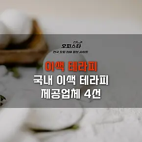 이색 테라피 - 제공업체 4선