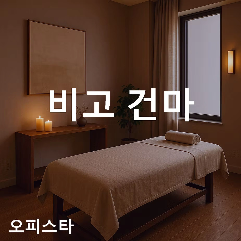 [인천 부평구] 비고 건마