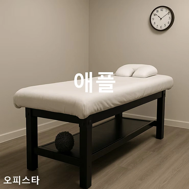[인천 부평구 삼산동] 애플