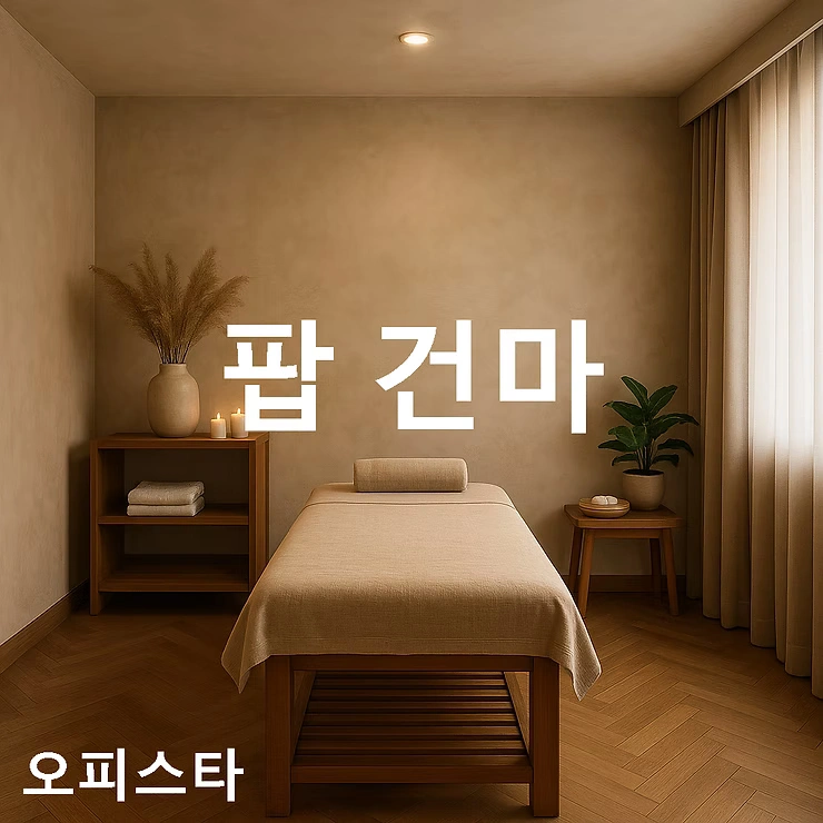 [인천 부평구] 팝 건마