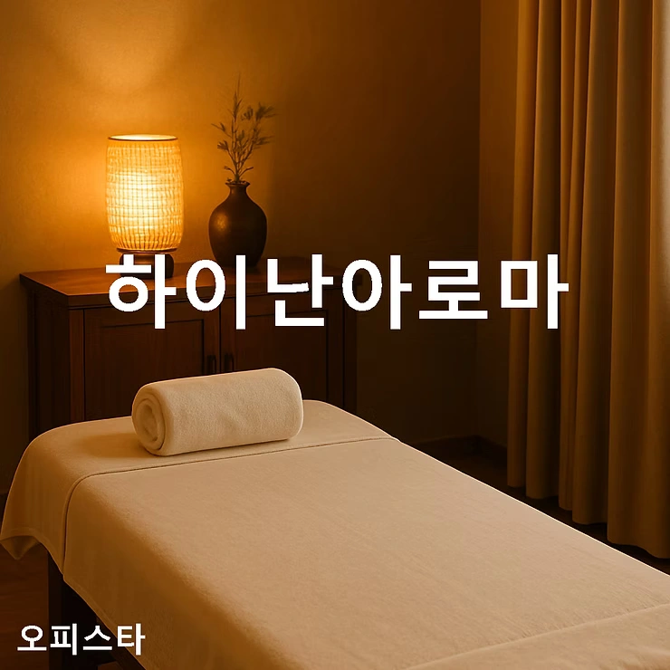 [인천 중구 항동] 하이난아로마