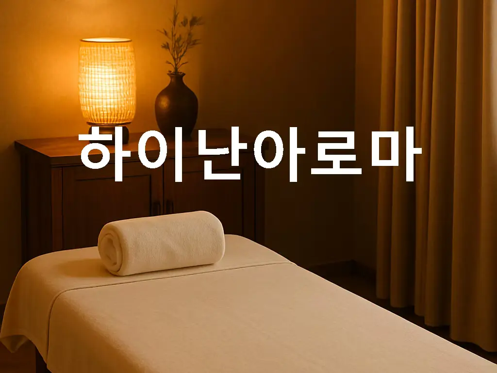 [인천 중구 항동] 하이난아로마