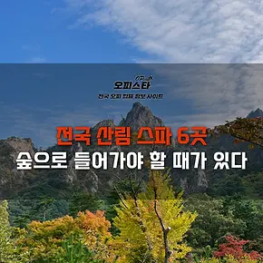전국 산림 스파
