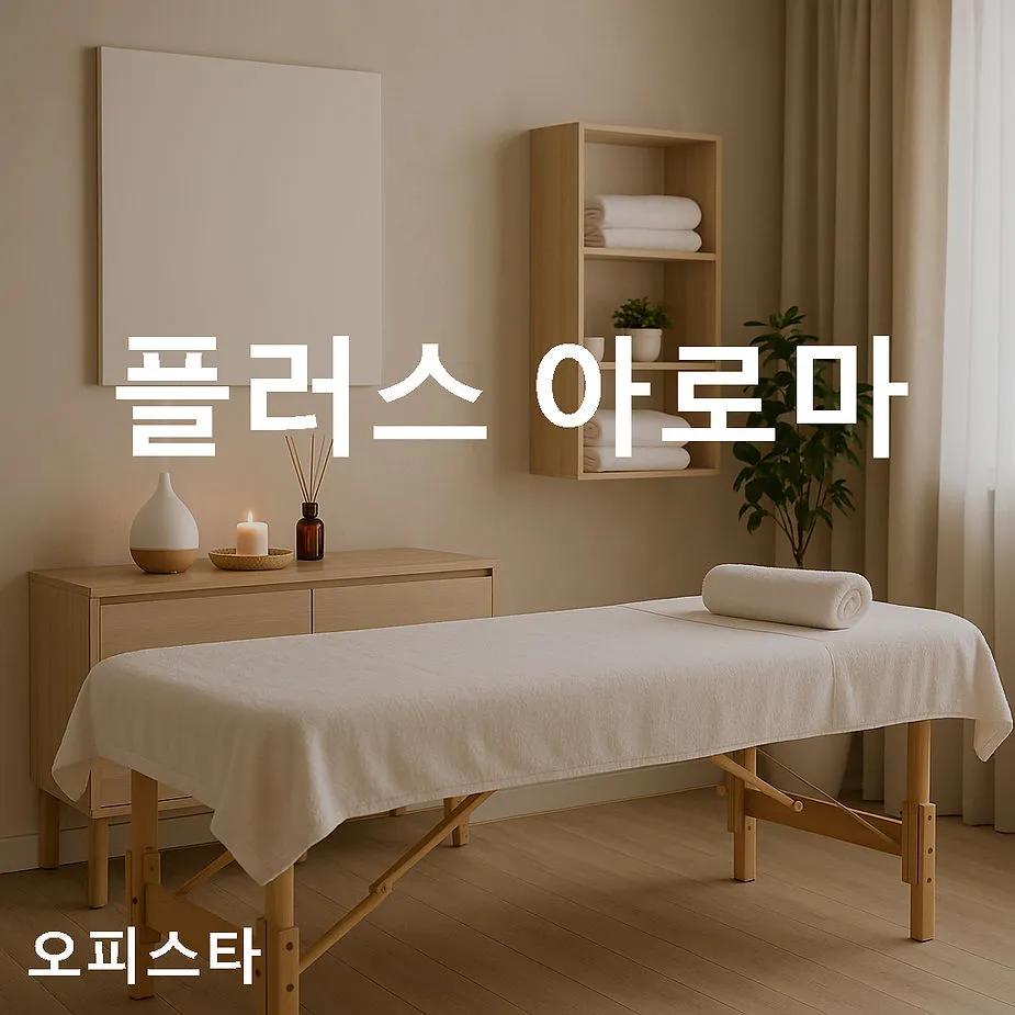 [화성시 동탄] 플러스 아로마